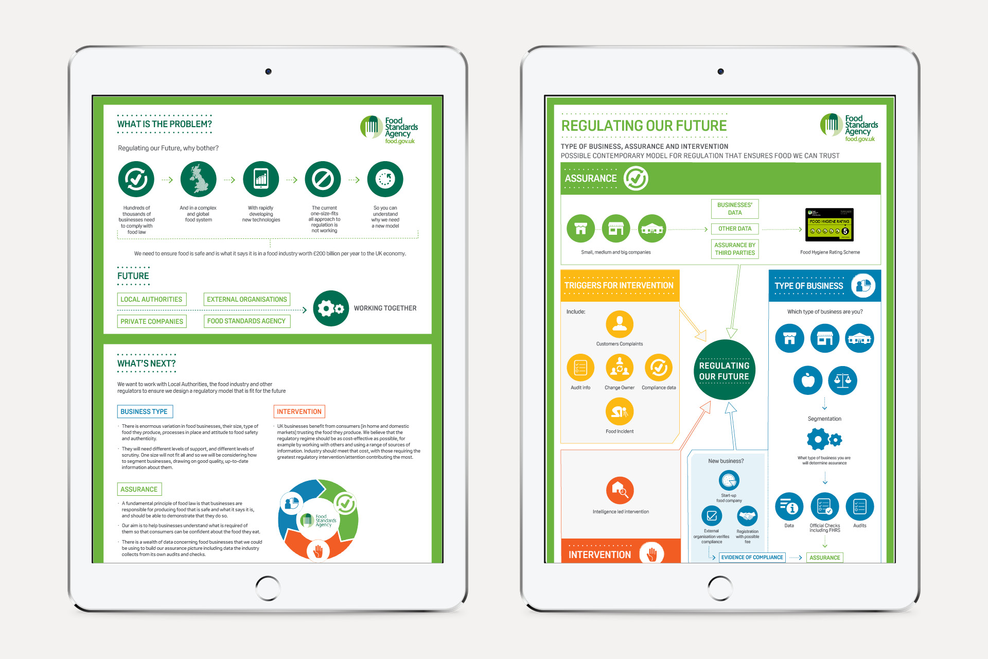 FSA_infographiciPads FSA infographics in iPads