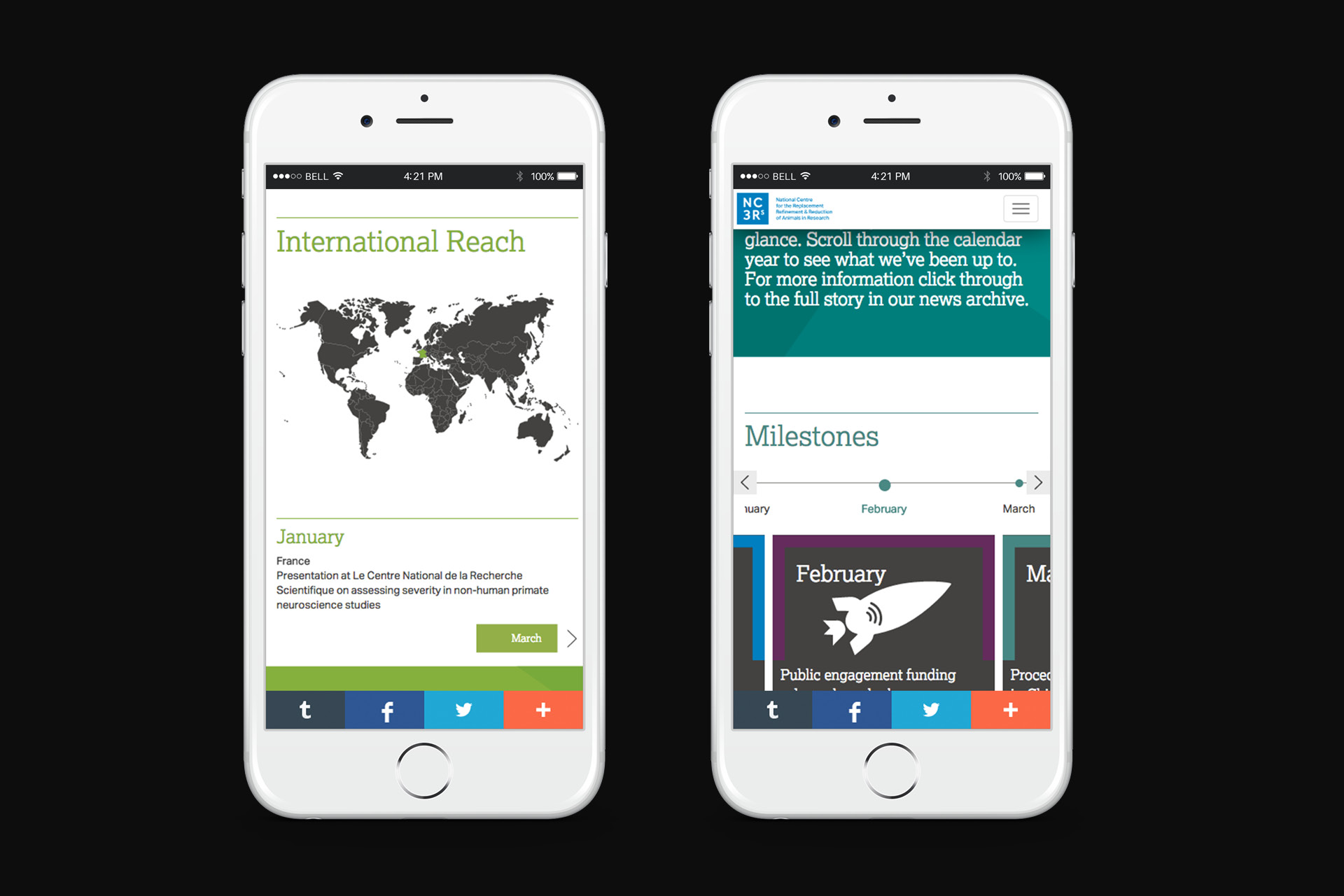 NC3Rs digital report mobile