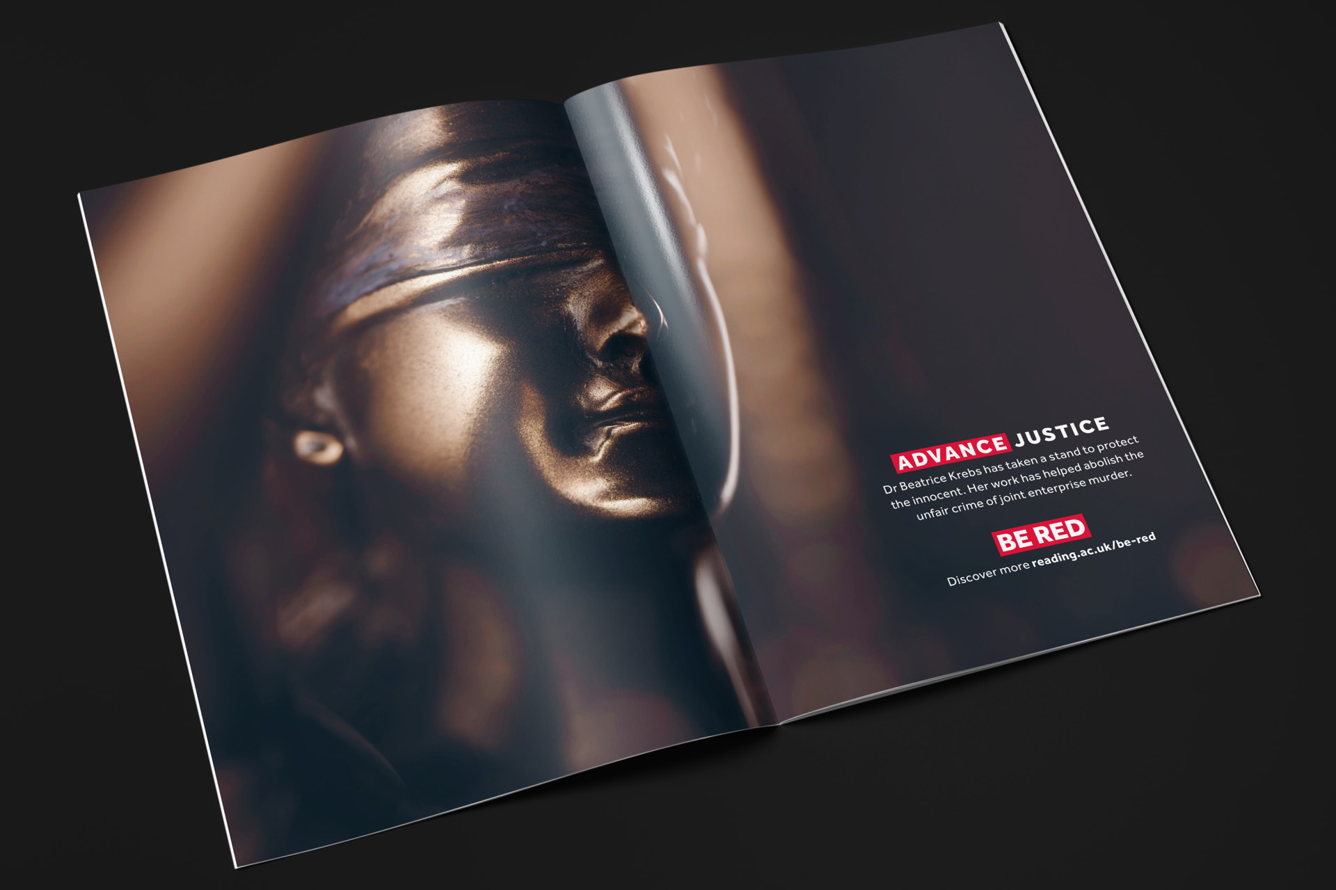 UoRY4_prospectus2 UoR Year 4 prospectus advance