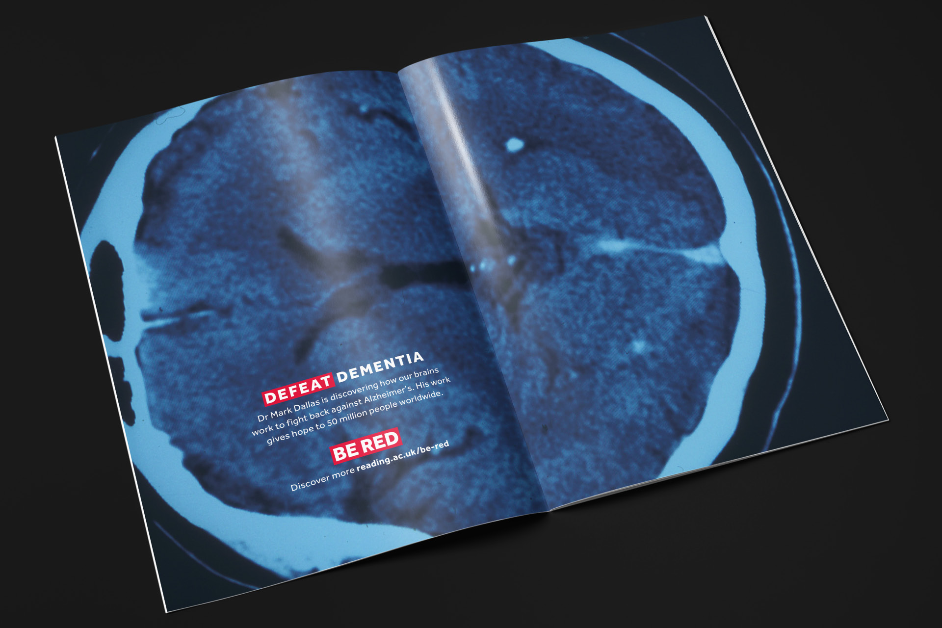 UoRY4_prospectus1 UoR Year 4 prospectus defeat